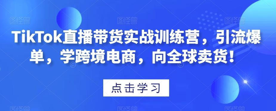 TikTok直播带货实战训练营，引流爆单，学跨境电商，向全球卖货！-悟空云赚AI
