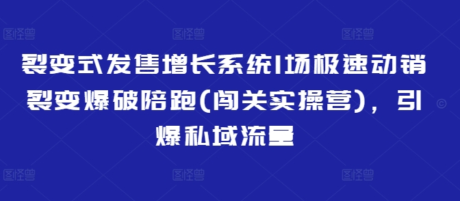 裂变式发售增长系统1场极速动销裂变爆破陪跑(闯关实操营)，引爆私域流量-悟空云赚AI