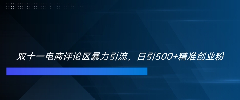 双十一电商评论区暴力引流，日引500+精准创业粉【揭秘】-悟空云赚AI
