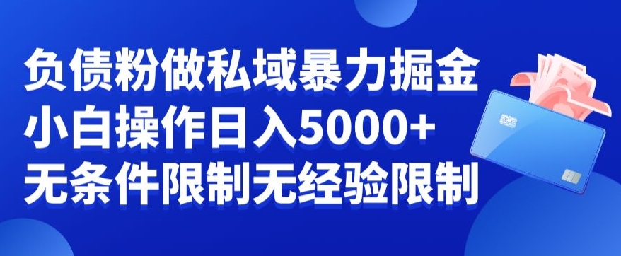 负债粉私域暴力掘金，小白操作入5000，无经验限制，无条件限制【揭秘】-悟空云赚AI