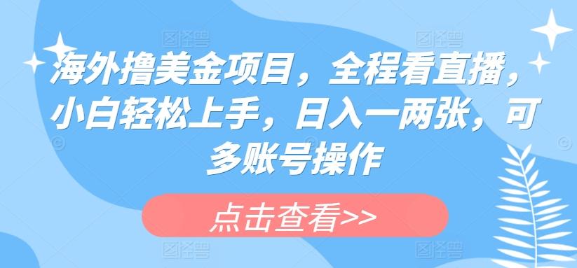 海外撸美金项目，全程看直播，小白轻松上手，日入一两张，可多账号操作【揭秘】-悟空云赚AI