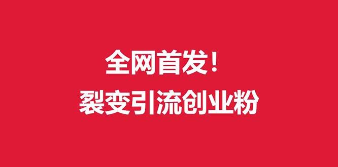 (全网首发)外面收费几千的裂变引流高质量创业粉-悟空云赚AI