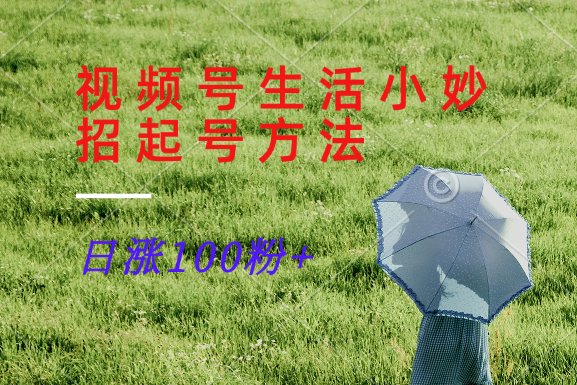 视频号生活小妙招分享赛道， 起号涨粉新方法，日涨100粉-悟空云赚AI